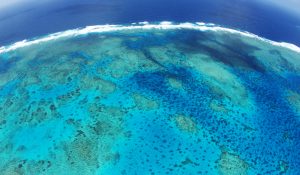 Aerial view of the Great Barrier Reef, Far North Queensland, Australia
